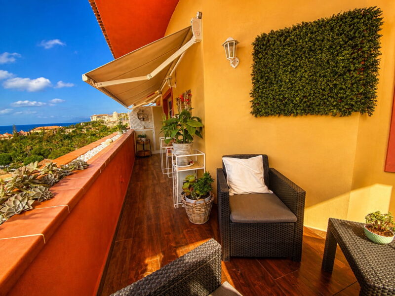 Terraza 5