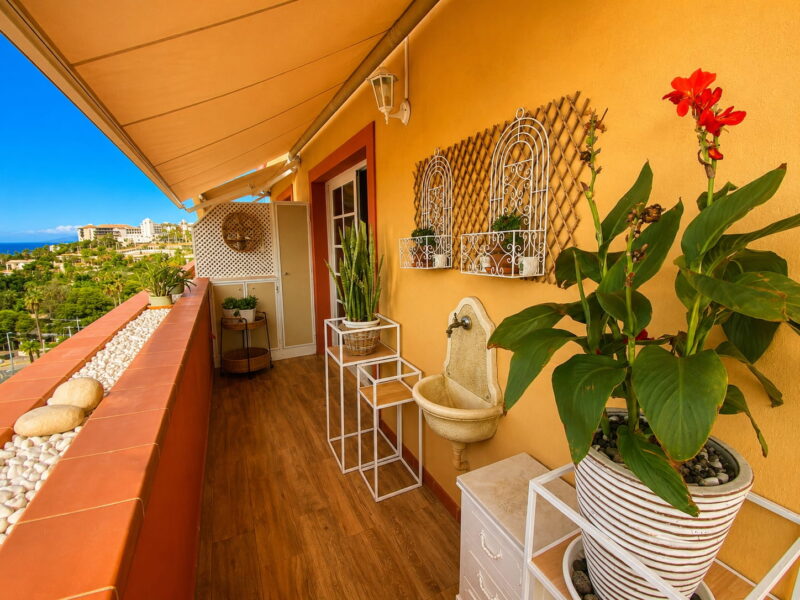 Terraza 6